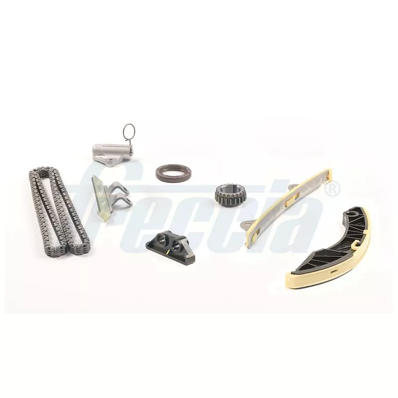 Kit de distribution par chaîne FRECCIA TK08-1177