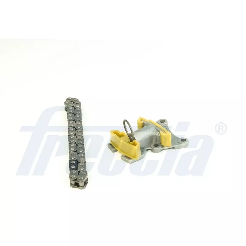 Kit de distribution par chaîne FRECCIA TK08-1184
