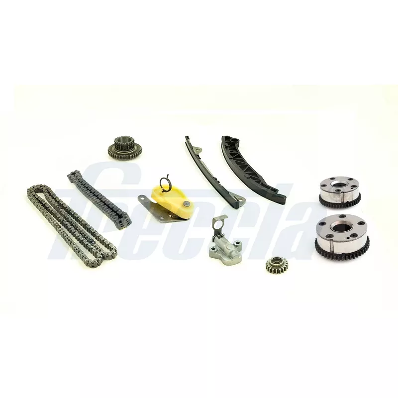 Kit de distribution par chaîne FRECCIA TK08-1187