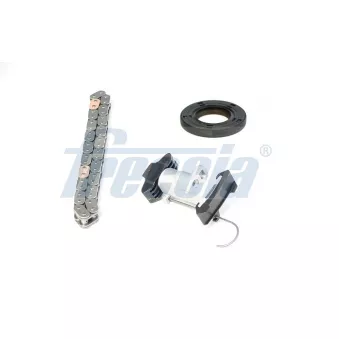 Kit de distribution par chaîne FRECCIA TK08-1209