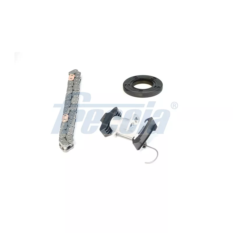 Kit de distribution par chaîne FRECCIA TK08-1209