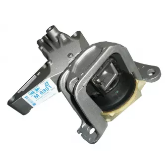 Support moteur TEKNÖR M6891