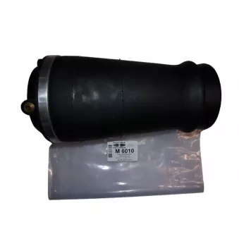 Ressort pneumatique, châssis TEKNÖR M6010
