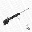 Jeu de 2 amortisseurs avant MONROE D0019R - Visuel 3
