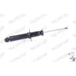 Jeu de 2 amortisseurs arrière MONROE D0314S - Visuel 2