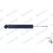 Jeu de 2 amortisseurs arrière MONROE D4003S - Visuel 3