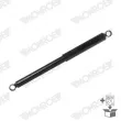 Jeu de 2 amortisseurs arrière MONROE D7703S - Visuel 3