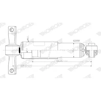Jeu de 2 amortisseurs arrière MONROE G2259
