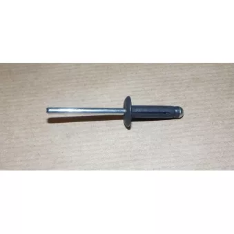 Rivet OE 7703072337