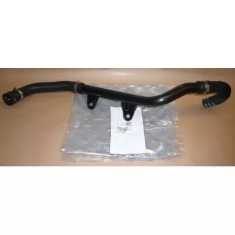 Durite de radiateur OE 1679948980