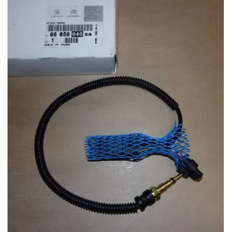 Sonde de température, liquide de refroidissement OE 9805884680