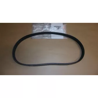 Courroie trapézoïdale à nervures OE V760401480