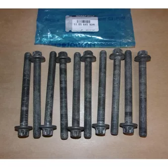 Jeu de boulons de culasse de cylindre OE 110564592R