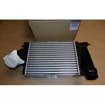 Intercooler, échangeur OE 144963358R