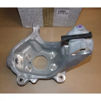 Pivot de roue avant gauche OE 400116379R