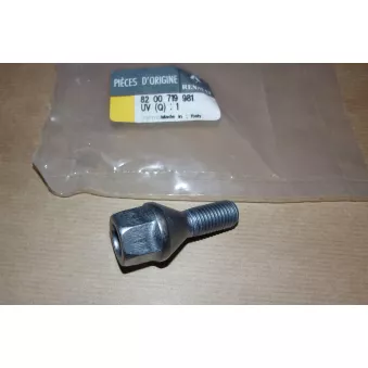 Vis de roue OE 8200719981