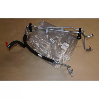 Tuyau hydraulique, direction OE 497208854R