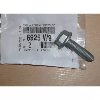 boulon de poulie OE 6925W9