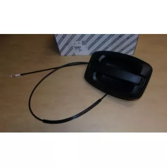 Poignée de porte OE 9101CV