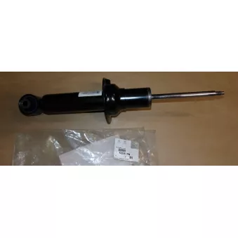 Jeu de 2 amortisseurs arrière OE 5206PN